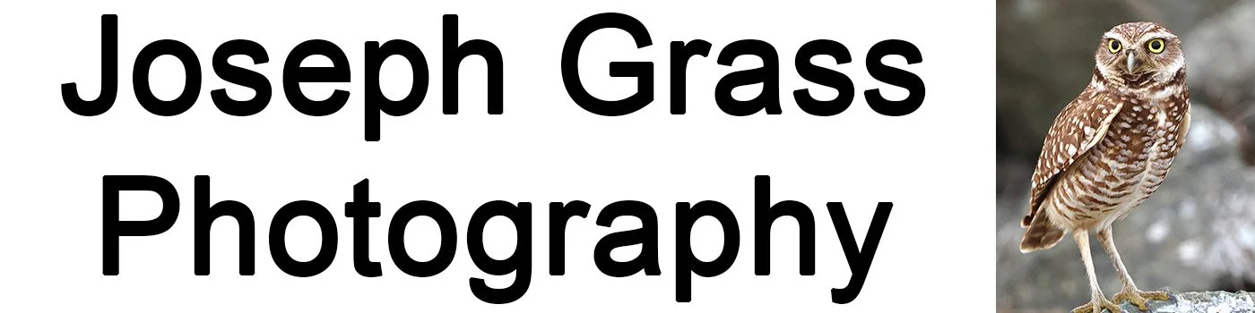 Joseph Grass Photography