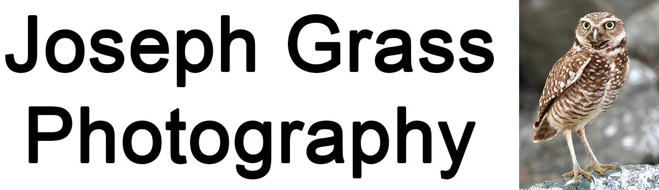 Joseph Grass Photography