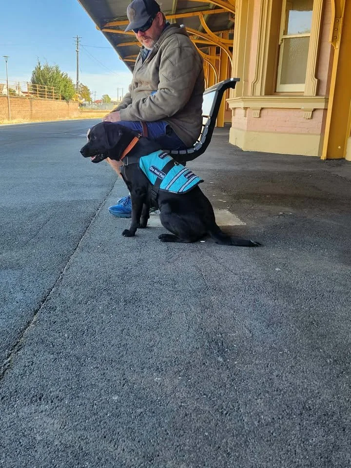 A man sitting on a bench at a train station with a black service dog wearing a blue vest.