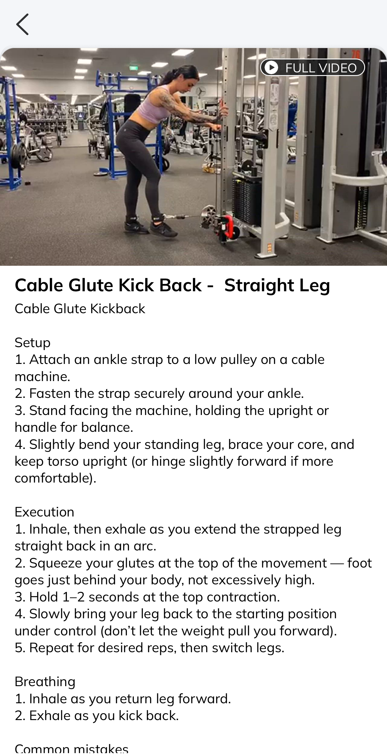 Online coaching app showing personalised workout program for women