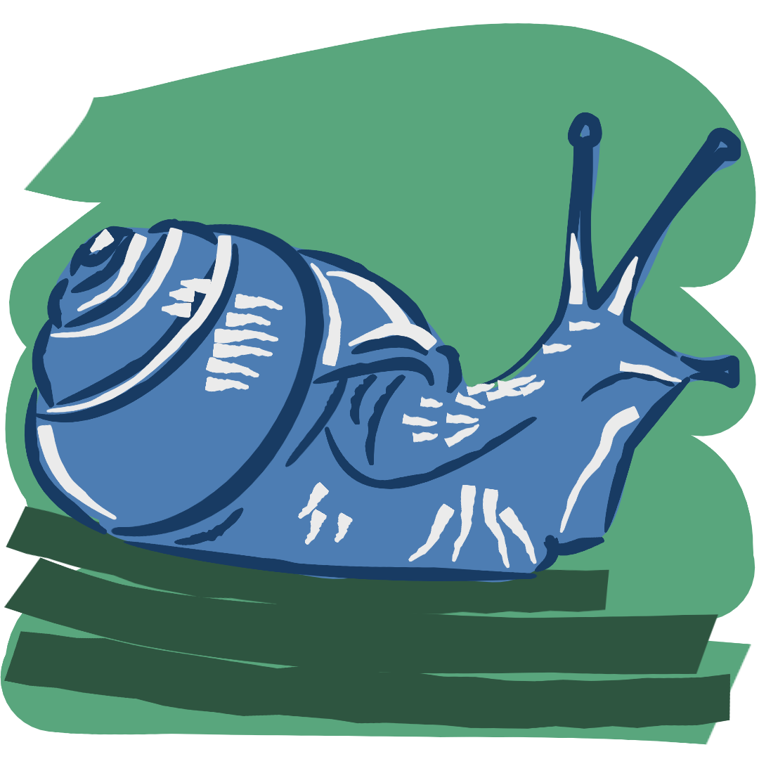 Slow medicine philosophy icon