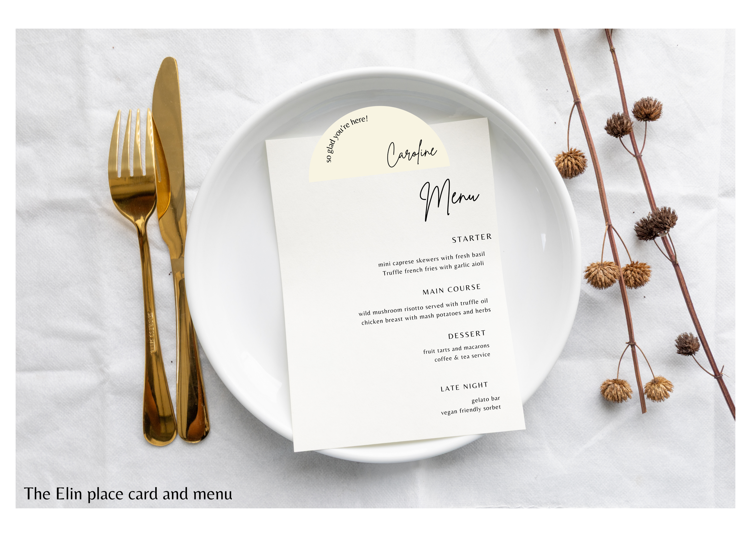 Elin Template (1).png