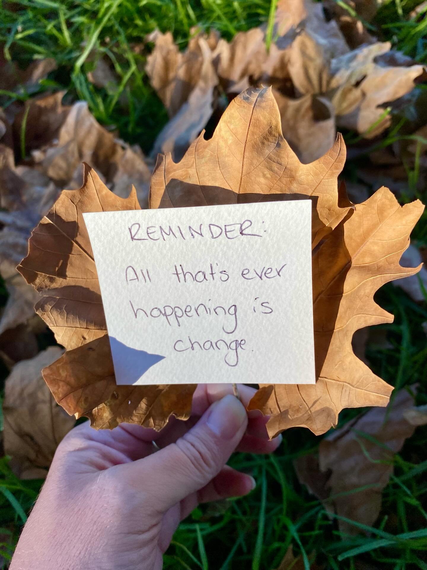 Happy Crunchy-Leaf-Season to all those who celebrate 🍁

This is your regular reminder - all that&rsquo;s ever happening is change.

Are you noticing the shorter days? The slanting light of autumn through the trees? The leaves crunching underfoot? Th