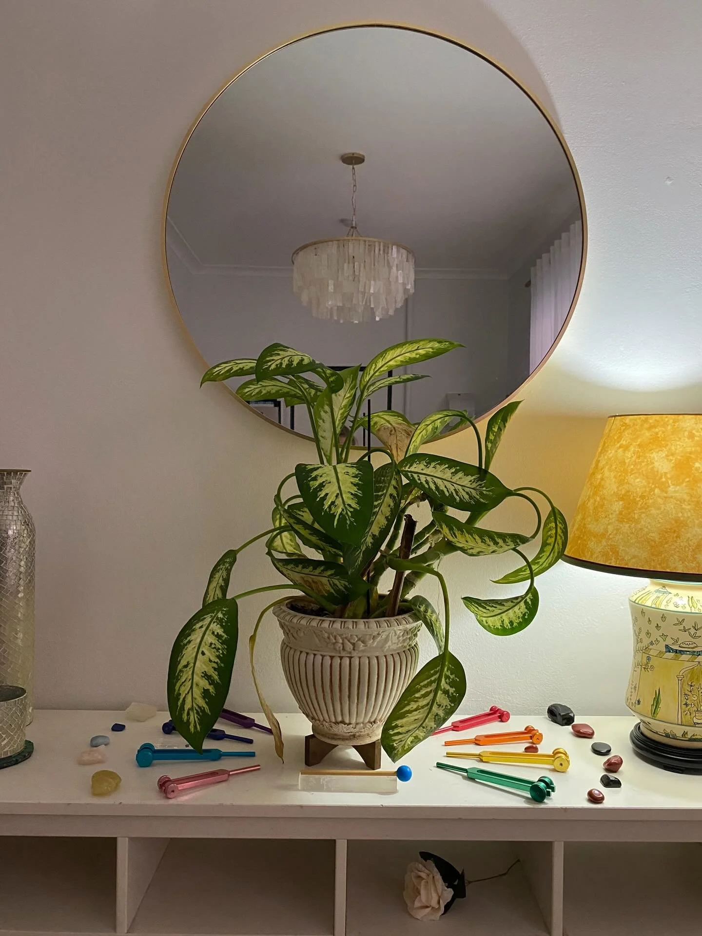 Important update: New plant friend!

Here she is in her full resplendence, vibing with the chandelier. She will be a quiet ally in your sessions and she promises to keep your secrets to herself, no telling.

Welcome to her leafdom 🌿

#kinesiologysyd