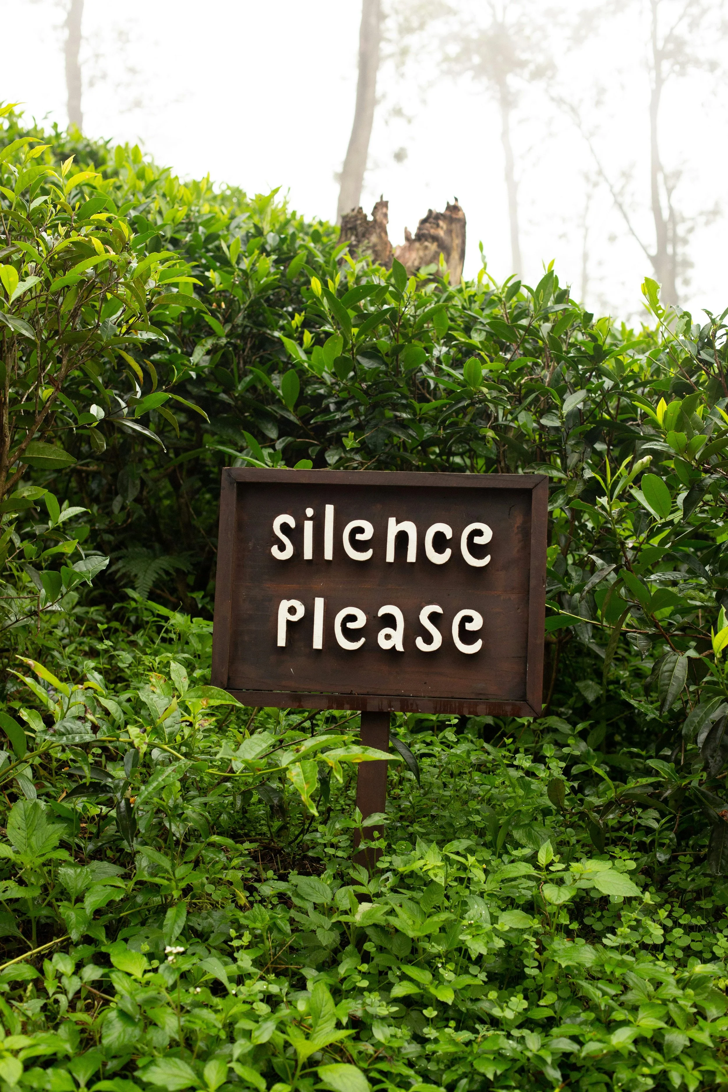 Why Silence Is Healing: How Doing Less Helped Me Feel More at Peace