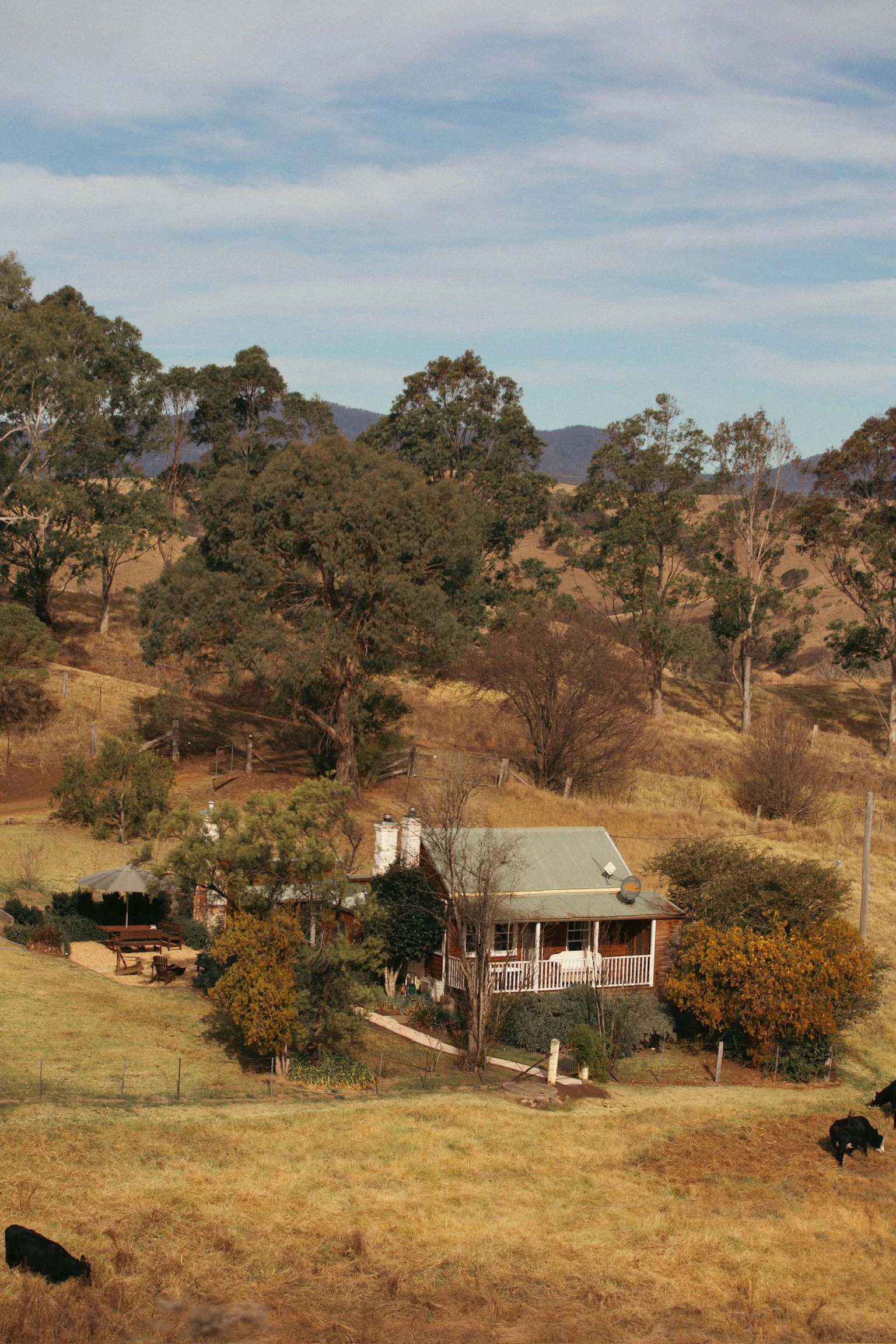 Copy of IMG_0093.jpg