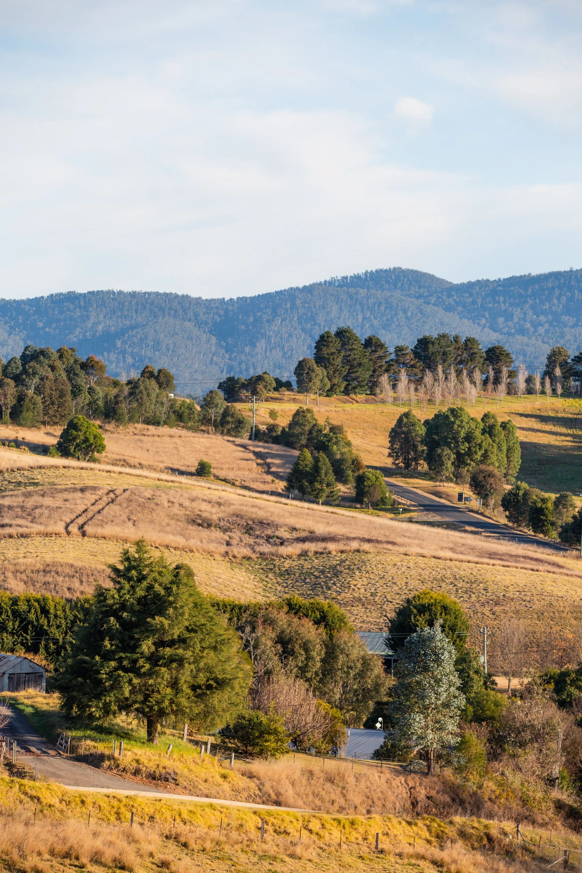 Scenic view of rolling hills, green trees, and distant mountains under a partly cloudy sky.