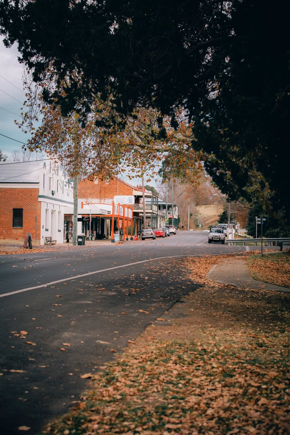 Copy of IMG_0085.jpg