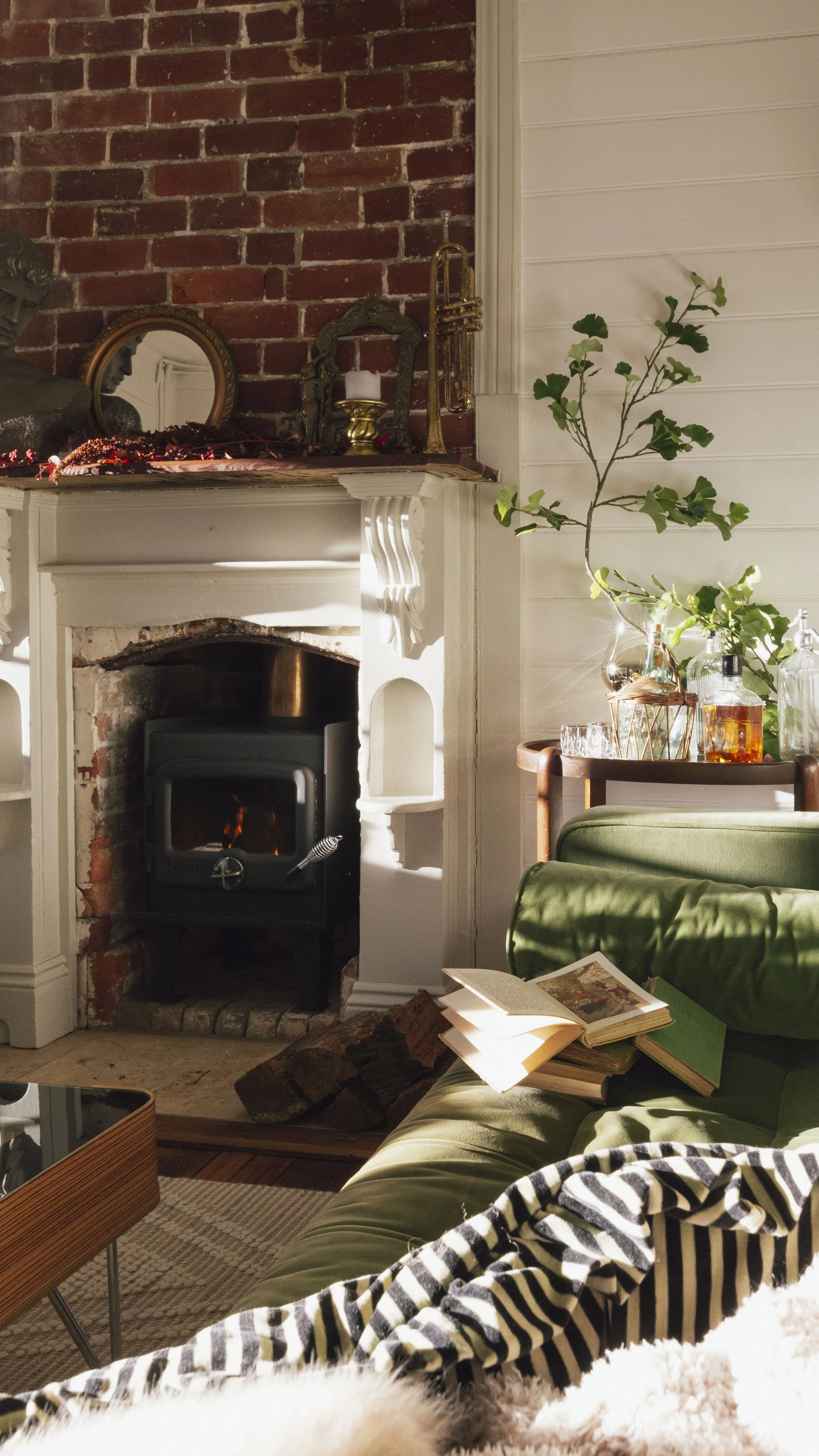 Living room with a cozy fireplace, green sofa with open books on it, a glass of drink, a tray with bottles and a vase with green leafy branches, a striped blanket, and sunlight streaming in.