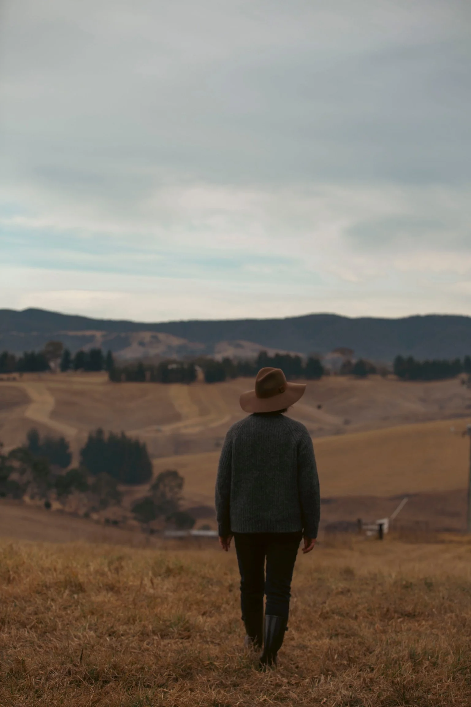 Copy of IMG_0100.jpg