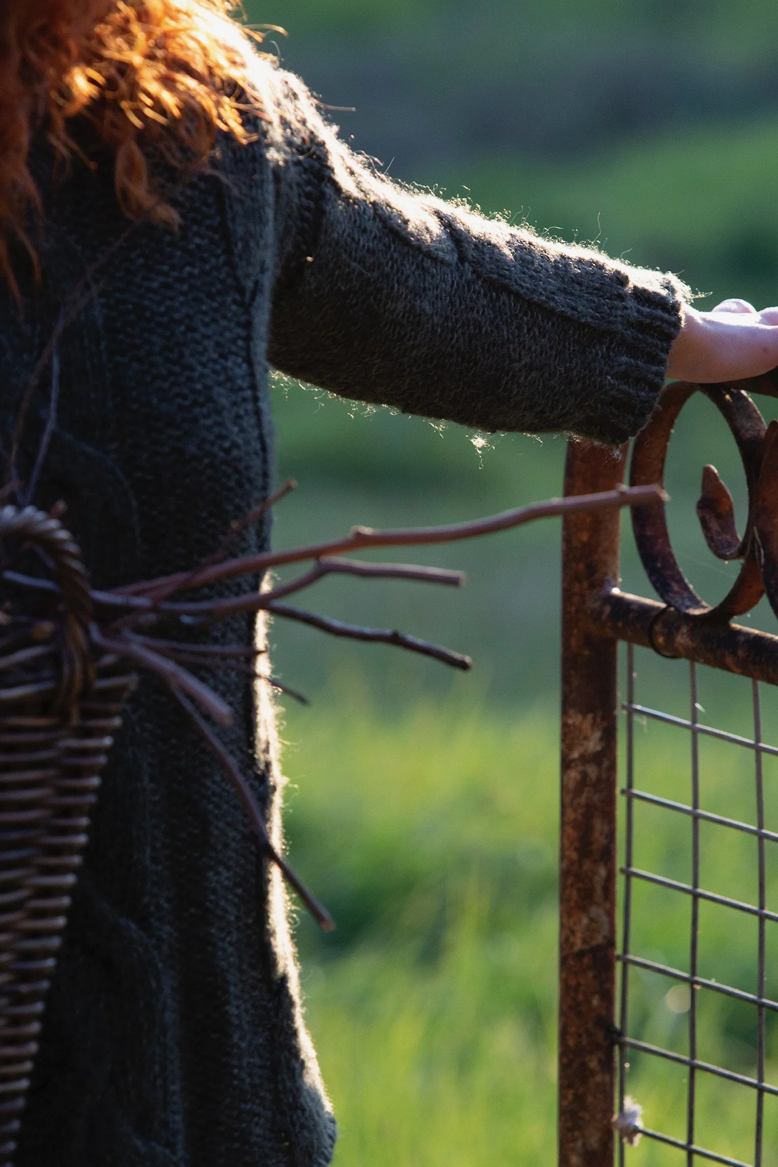 Copy of IMG_0113.jpg