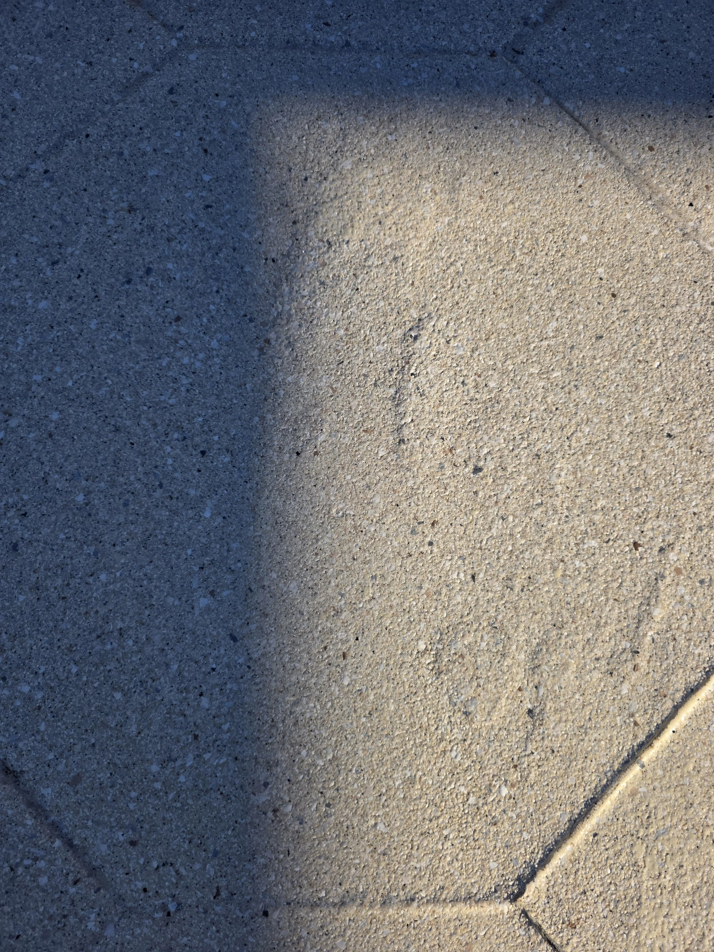 20260723_090137.jpg