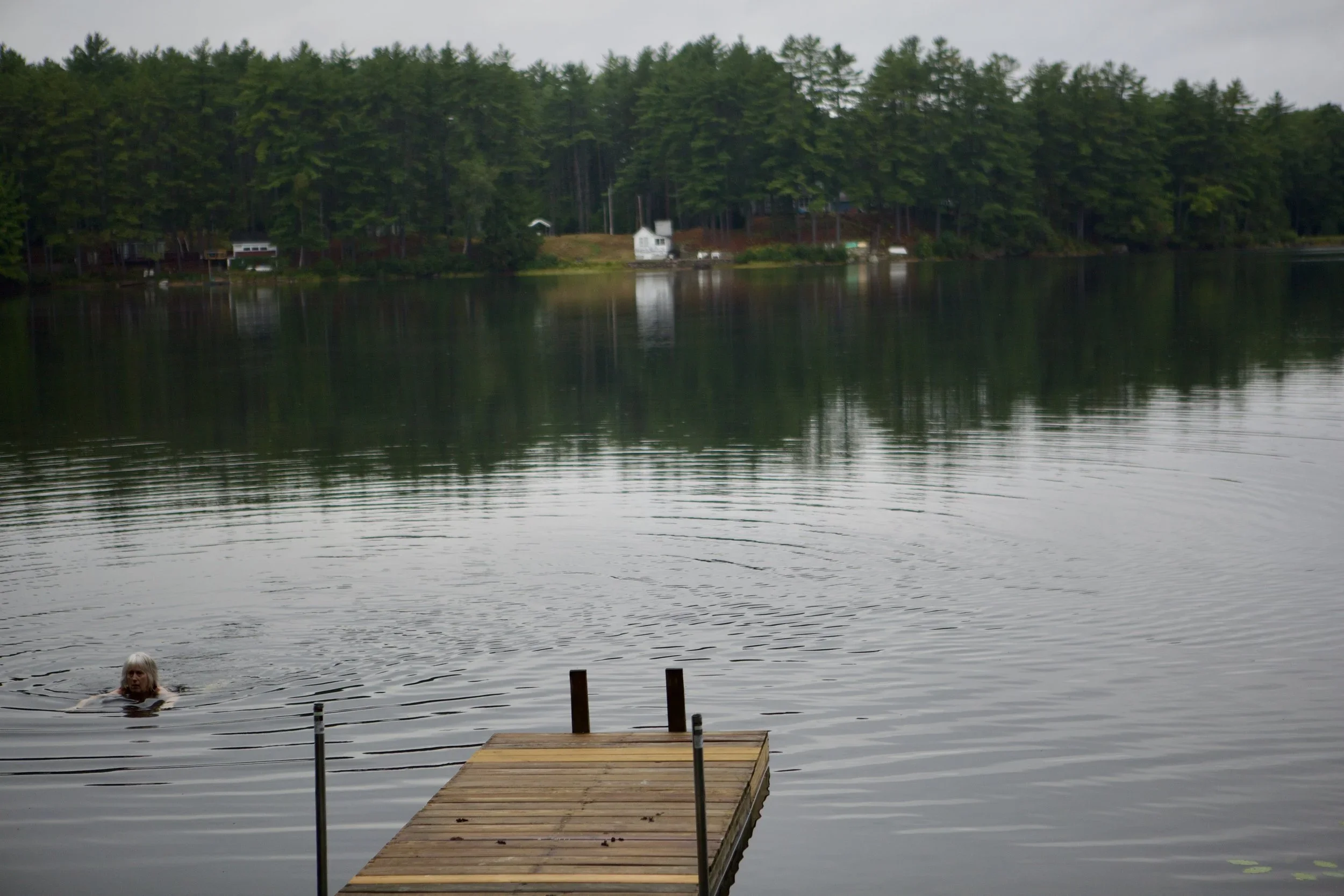 A person swimming in a lake near a wooden dock, with a forested shoreline and houses in the background.