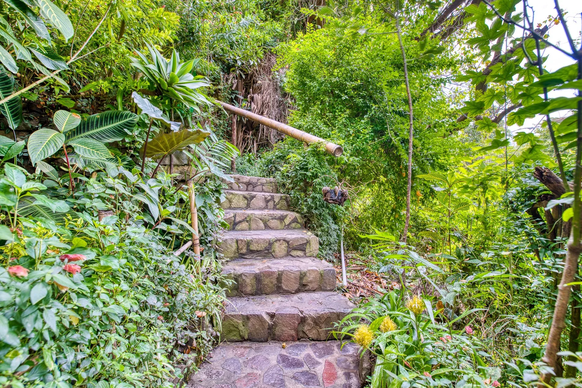 Stone staircase in a lush green garden with dense foliage and trees surrounding it.