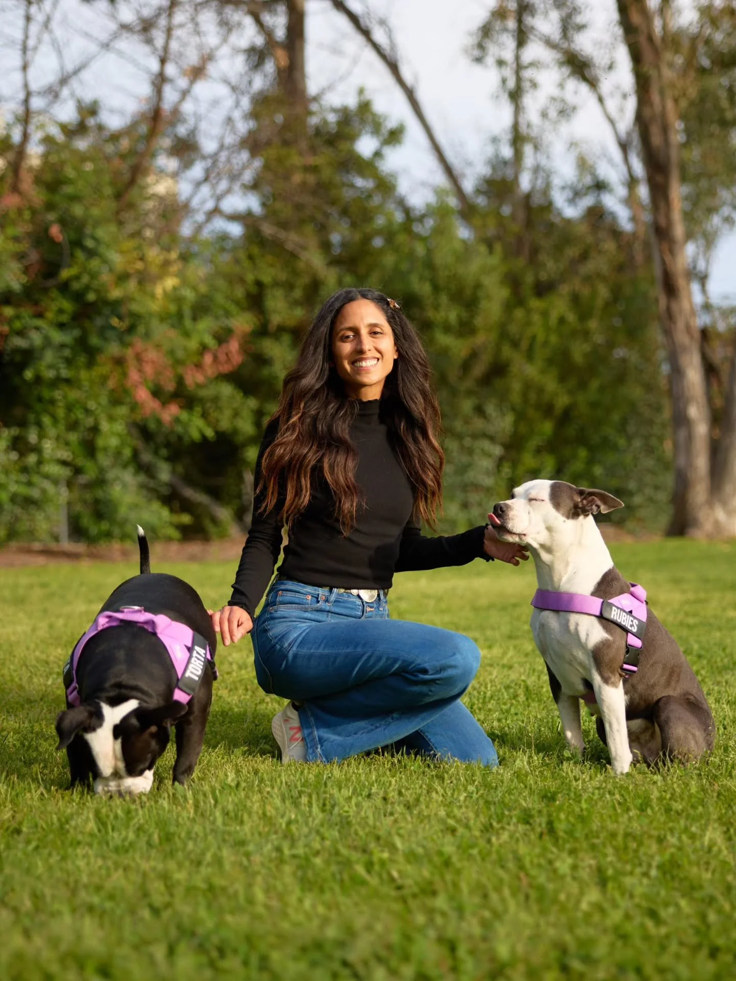 anndrea nelson_calarts pitties.jpg