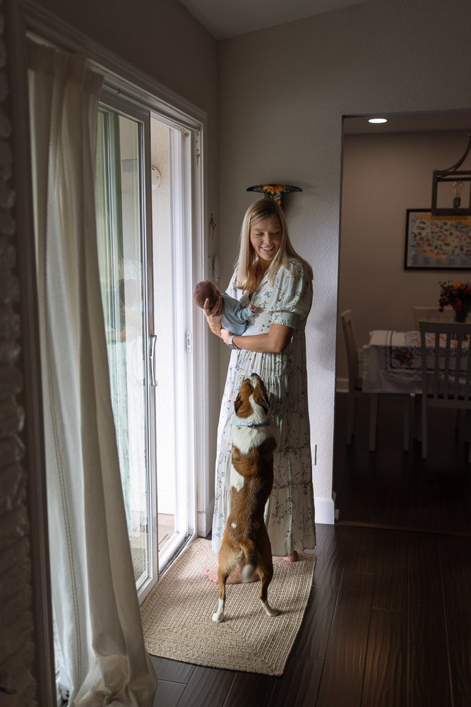 A woman holding a newborn baby inside a home, with a dog standing on its hind legs and looking at the woman and baby near a sliding glass door.