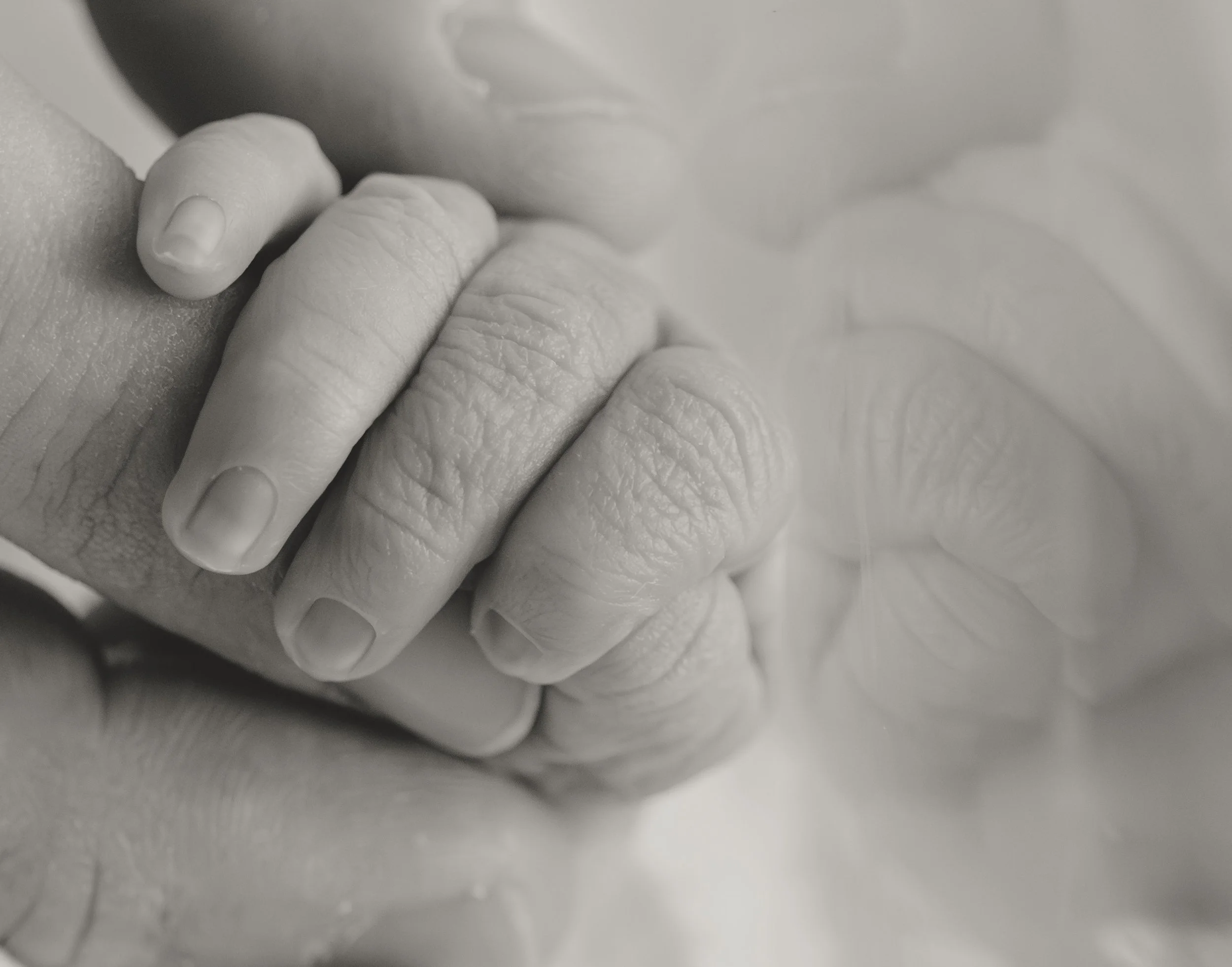 a black and white close up image shows a newborn's fingers wrapped around a male's finger 