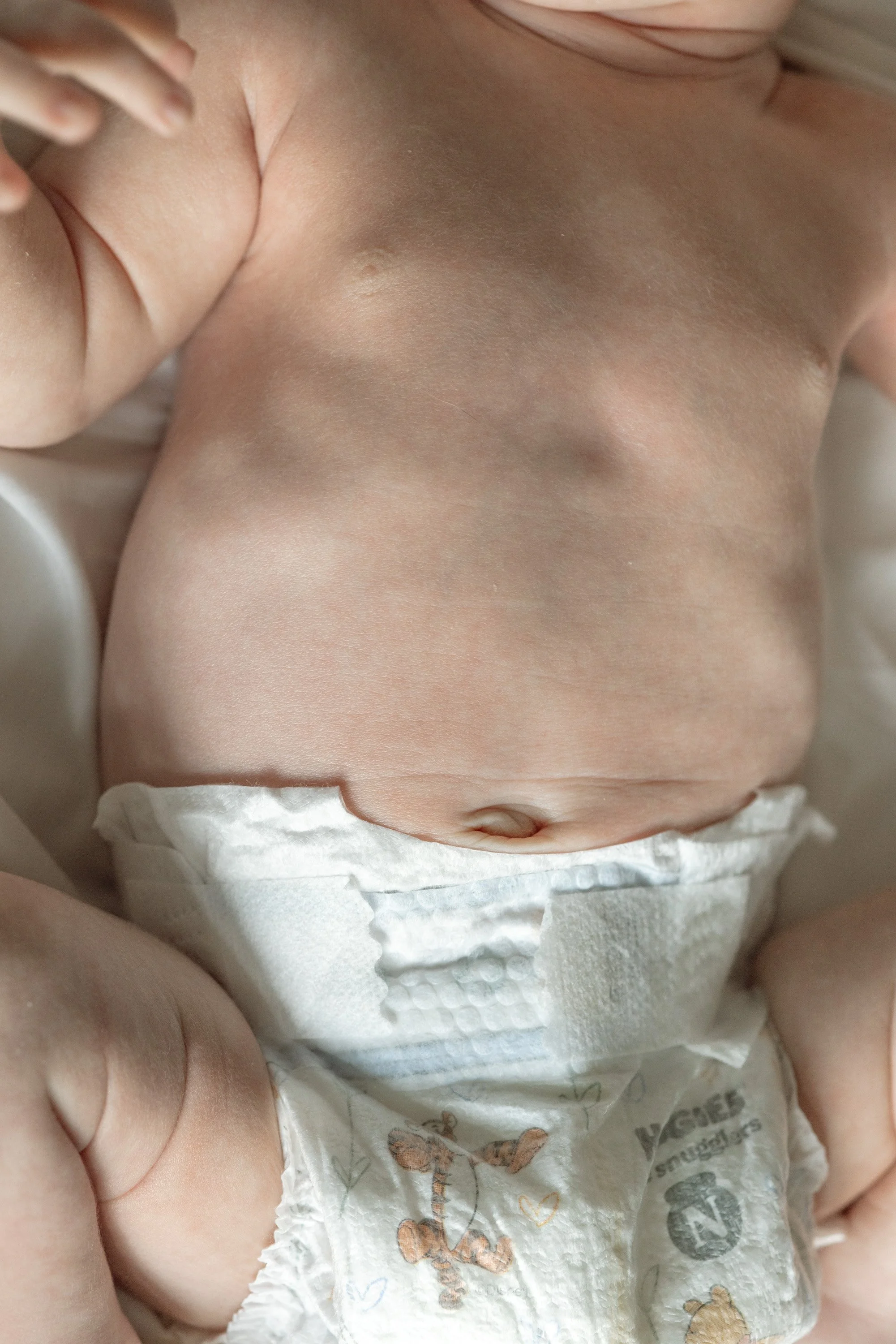 a close up of a baby's belly during an in home newborn session in cedar park Texas, photo captured by Austin in home newborn photographer Hailey Copland 
