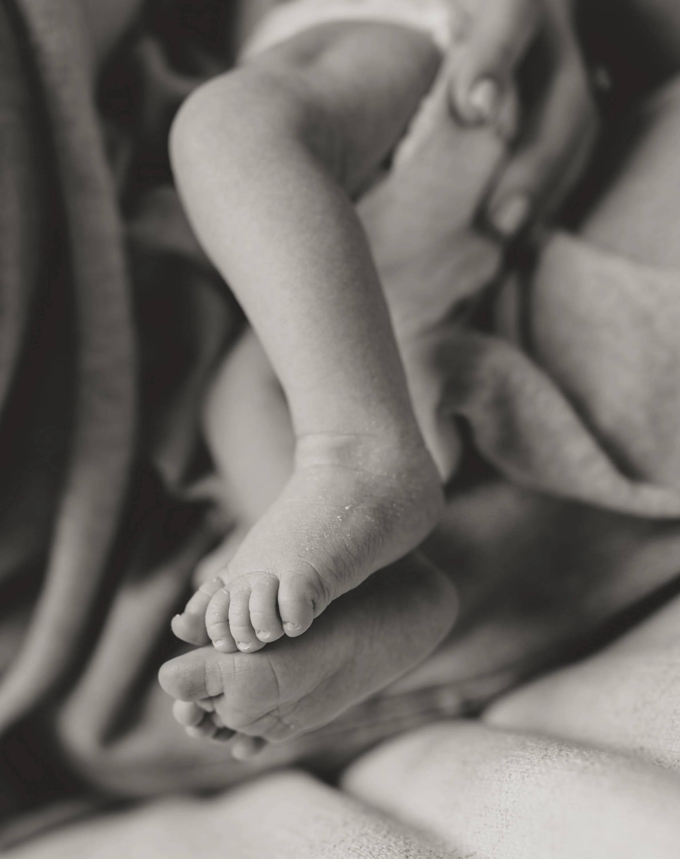 Close-up of a newborn baby's tiny hand grasping an adult's finger, black and white photograph.