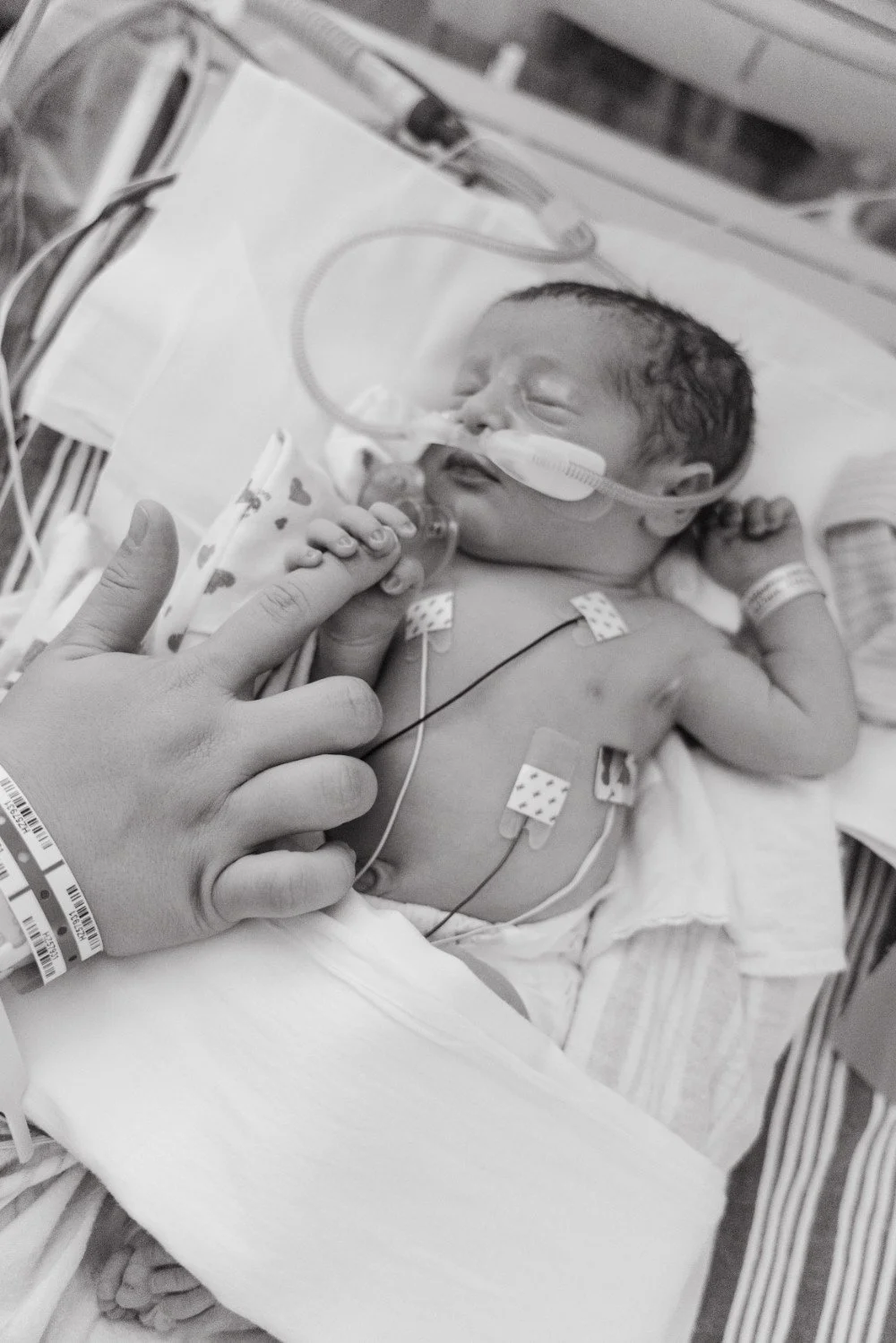 A newborn baby in a hospital NICU lying in a crib with medical tubes attached, being gently held by an adult hand.