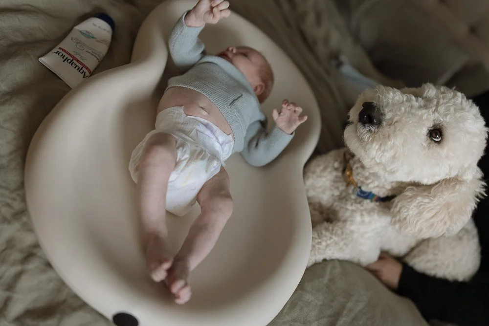 A baby lying in a baby bath on a bed with a dog sitting next to the bath, looking up at the baby.