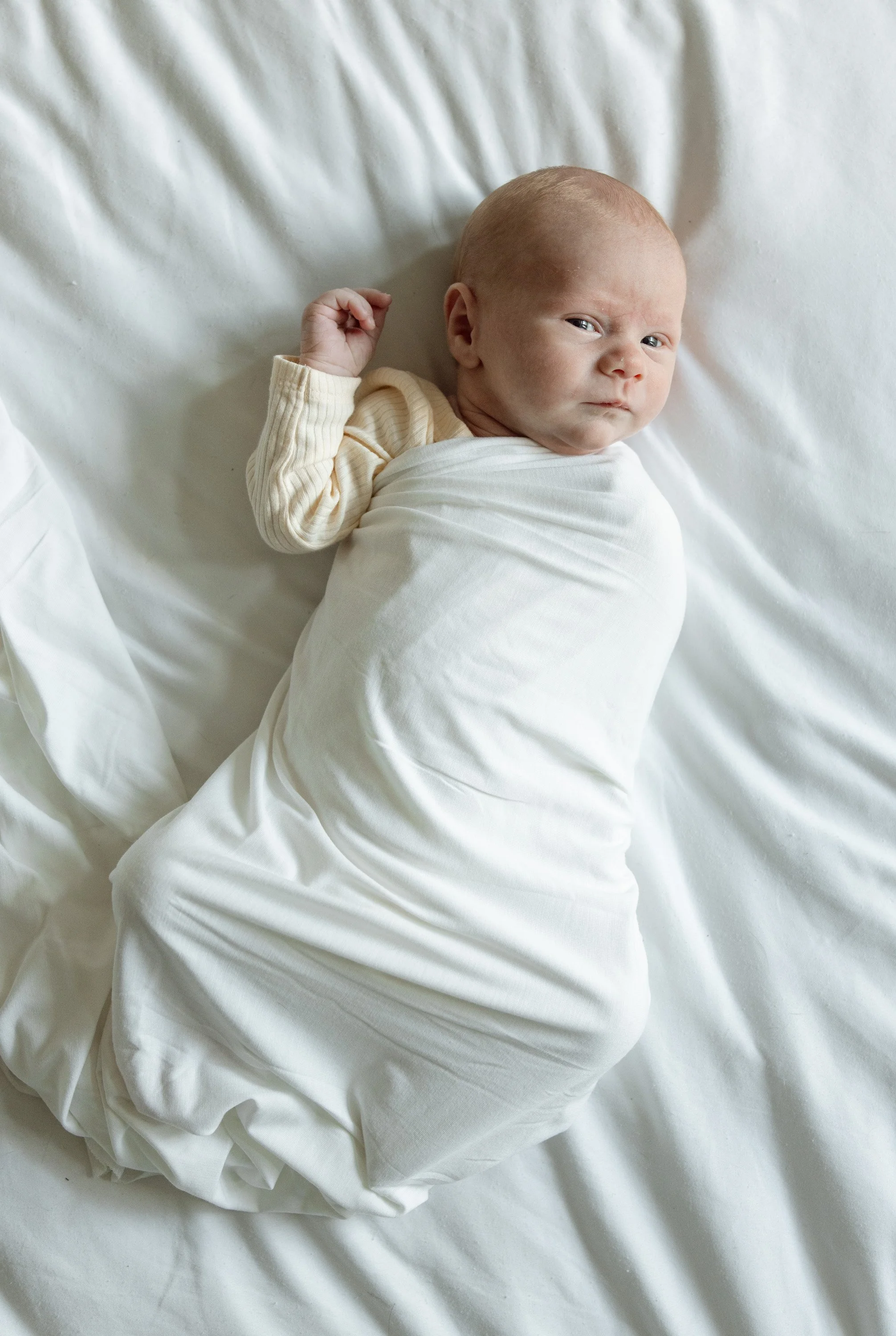 photo captured by Austin in home newborn photographer Hailey Copland 