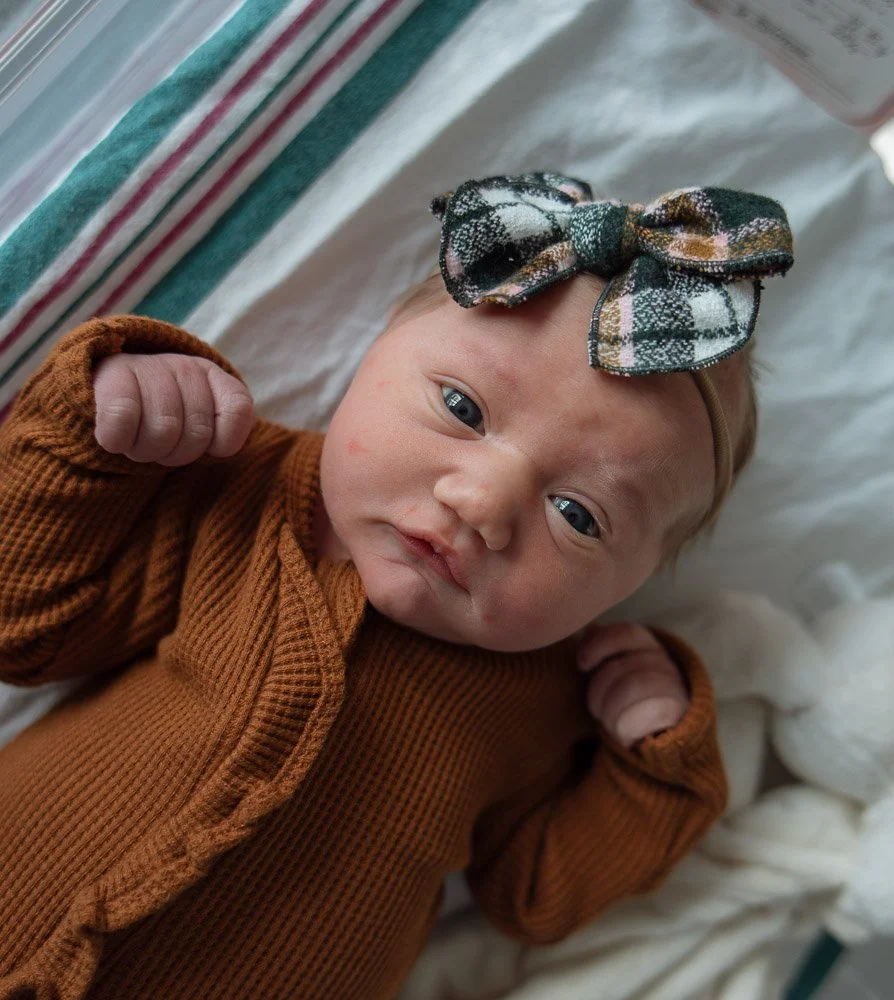 Fresh 48: The first days