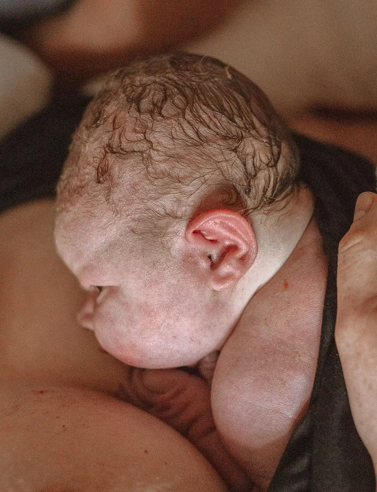 A newborn baby nursing, attached to a mother's breast.