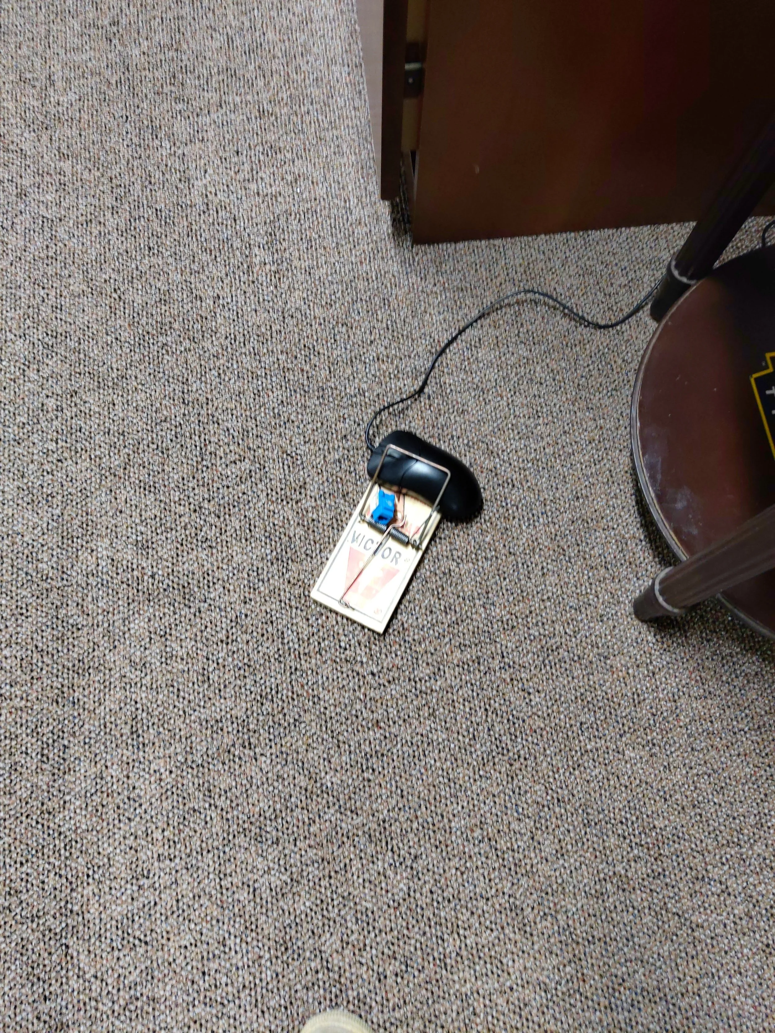 A black computer mouse connected to a makeshift circuit with wires, placed on a pack of cigarettes on a carpeted floor.