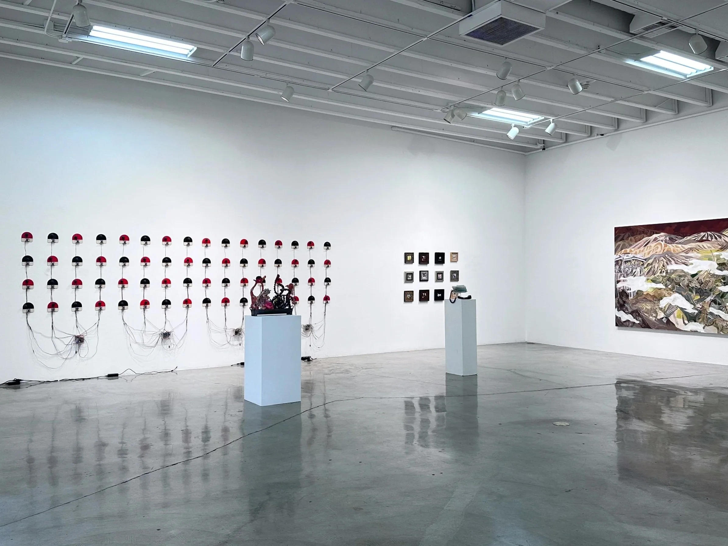 Echo Chamber of a Top  Player (Retired)