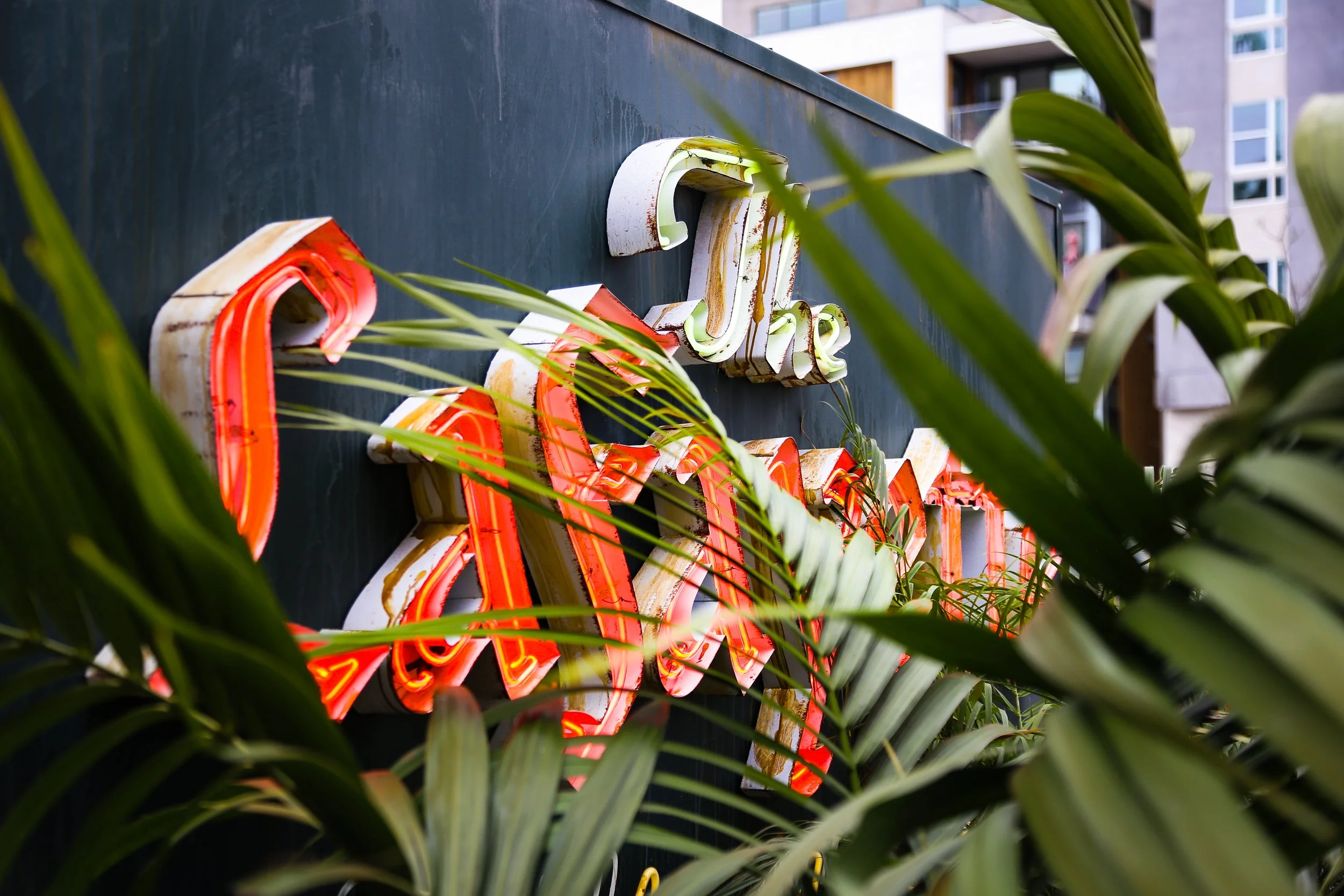 Lafayette! Lafayette!