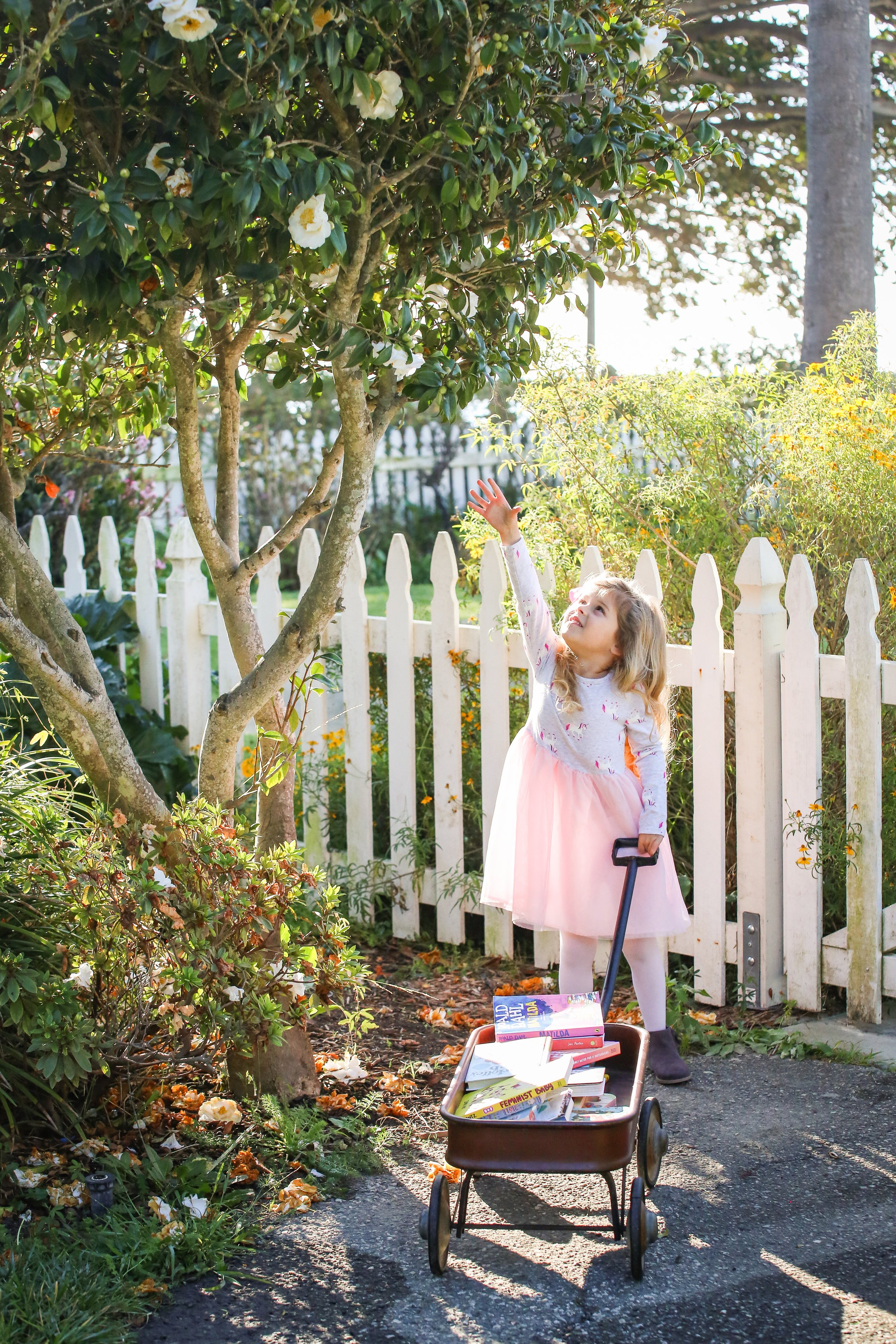 Reagan reaches high for a flower