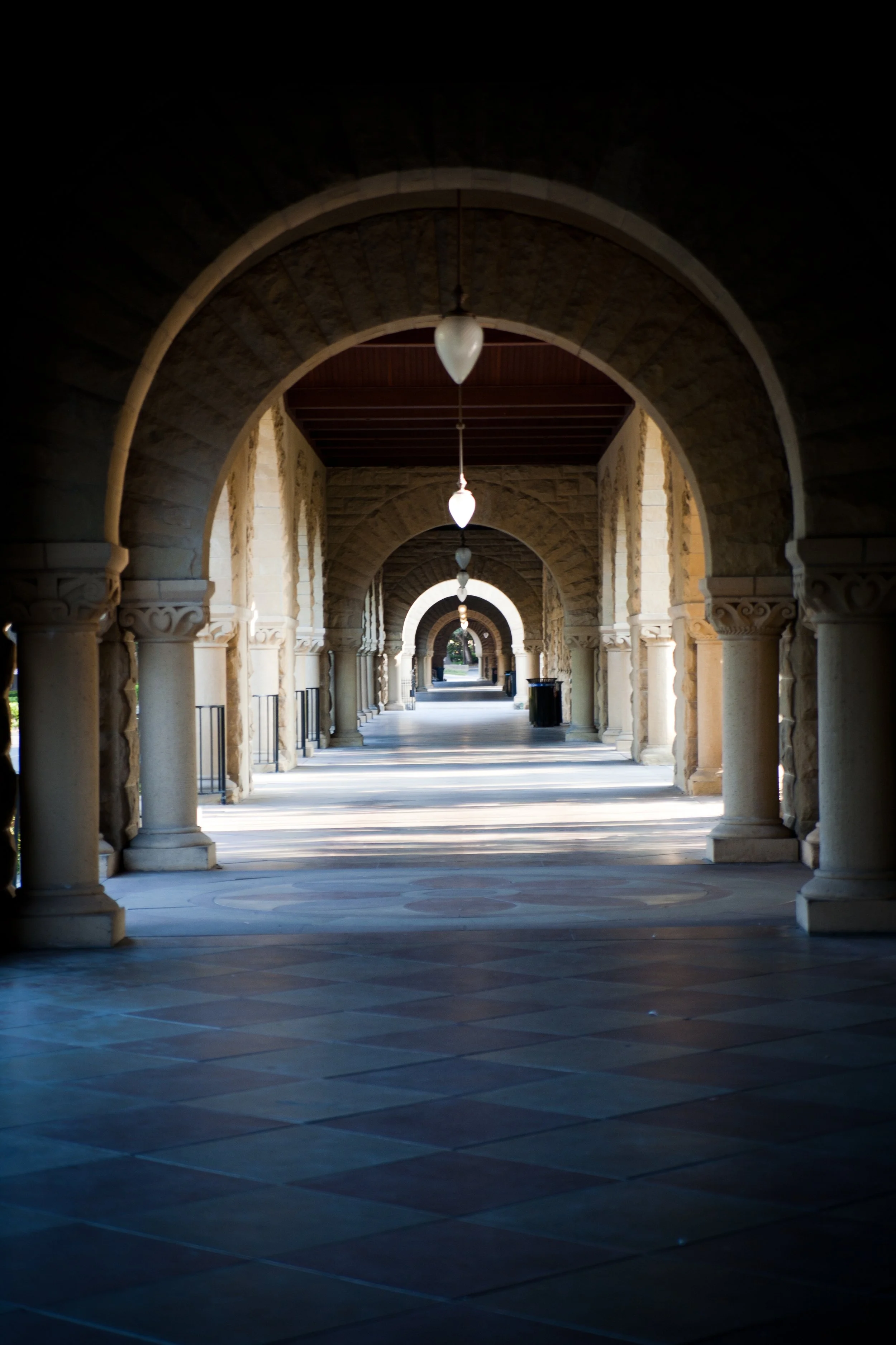 Hallowed halls and vine draped walls