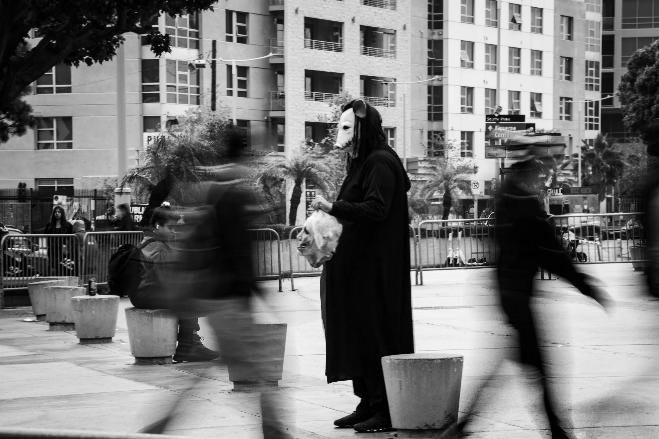 Jigsaw on Display by Erick