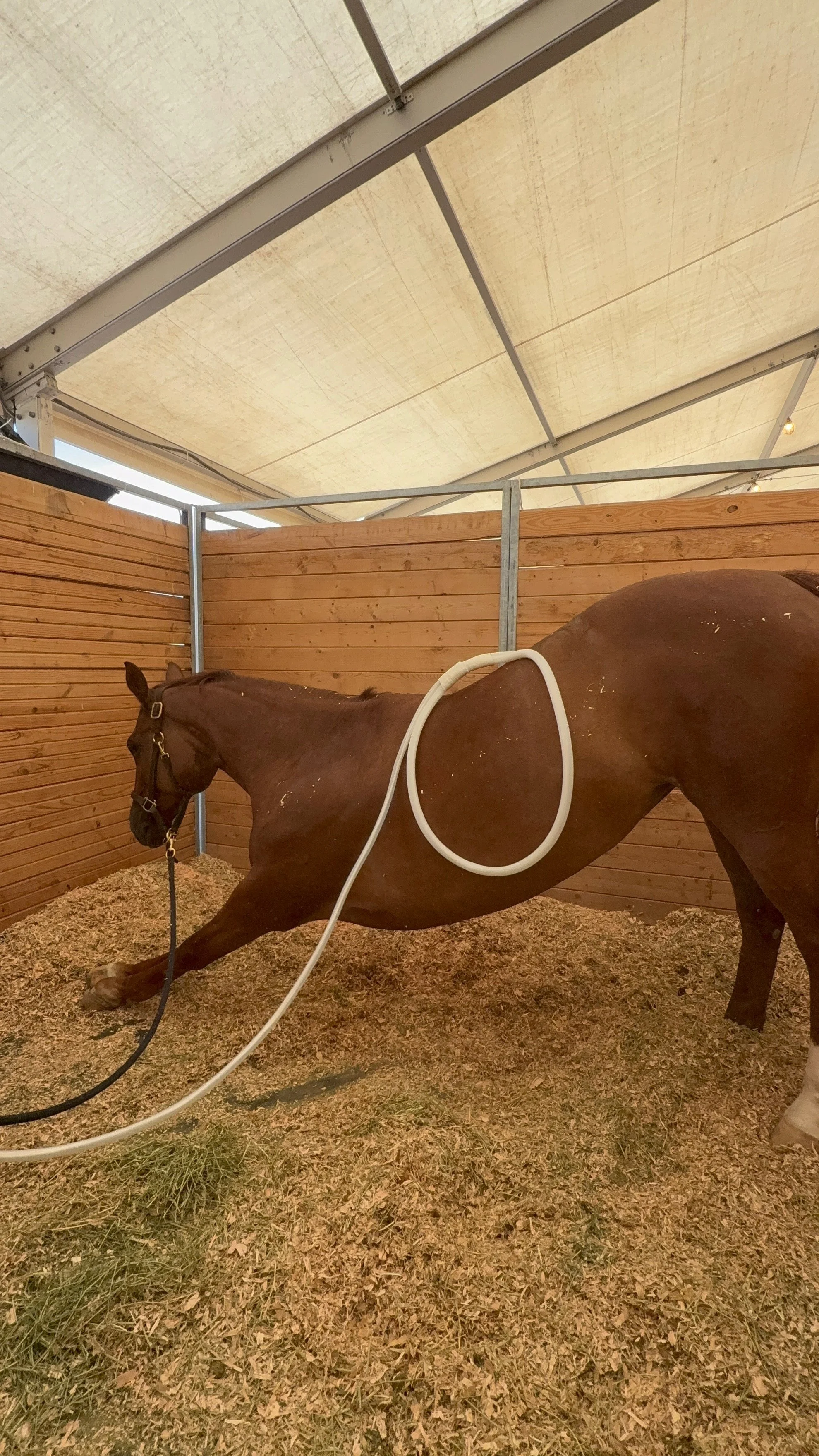 Total Performance Session