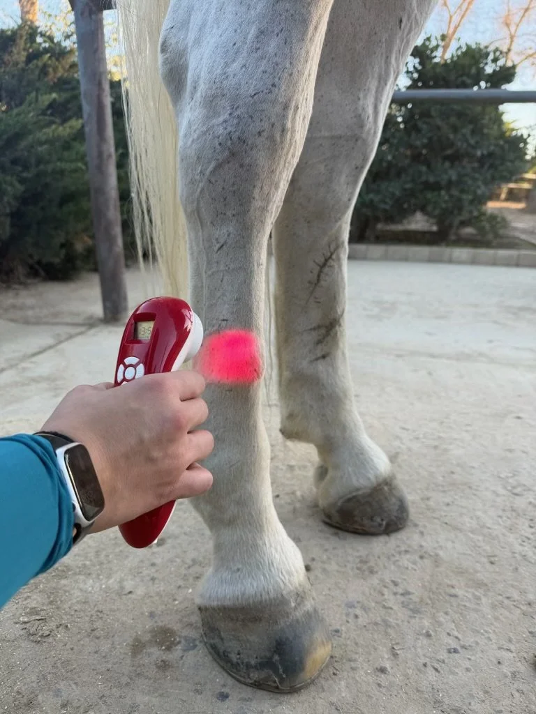 Laser Medium Area/Spot