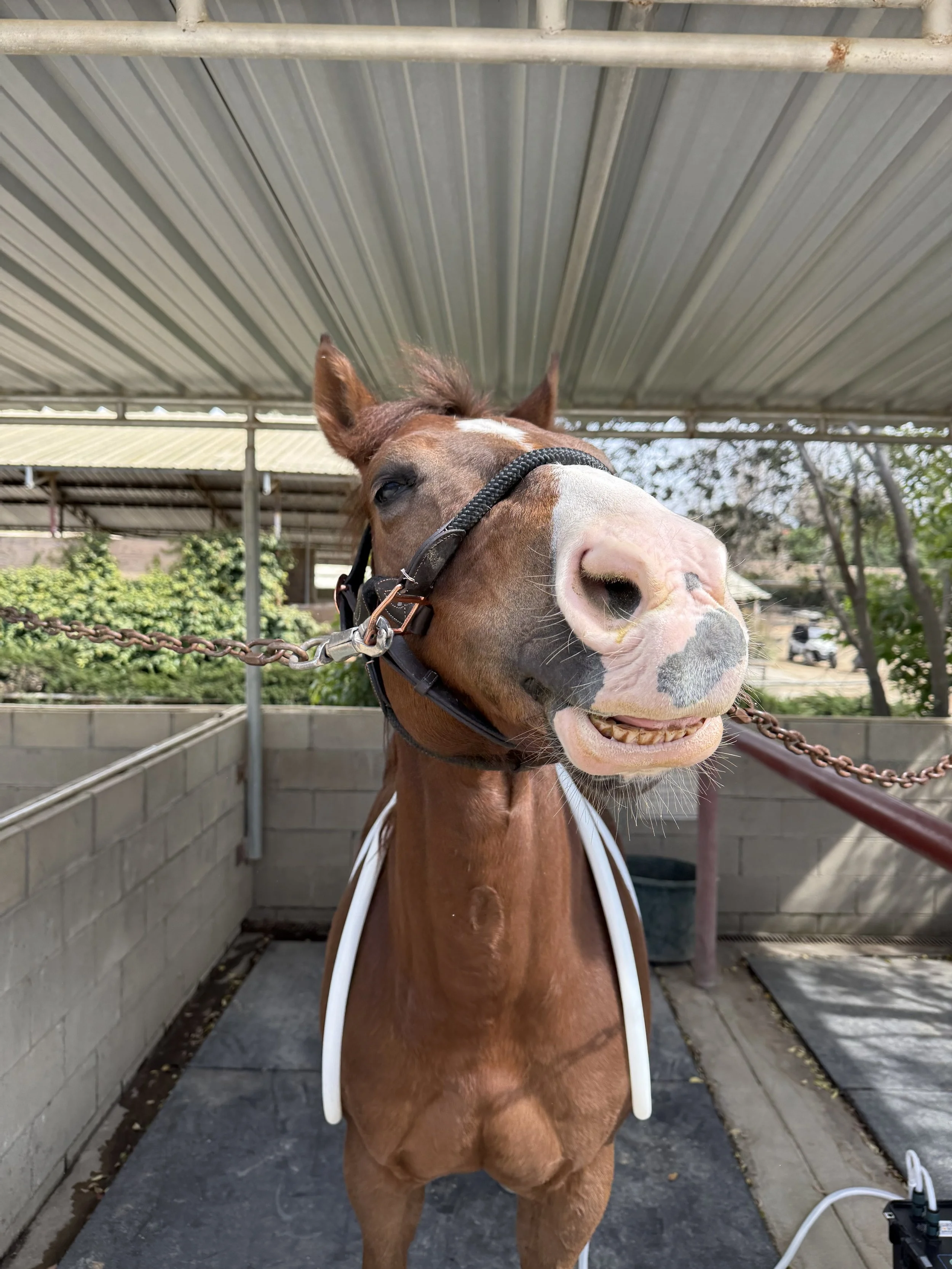 Core Recovery Session