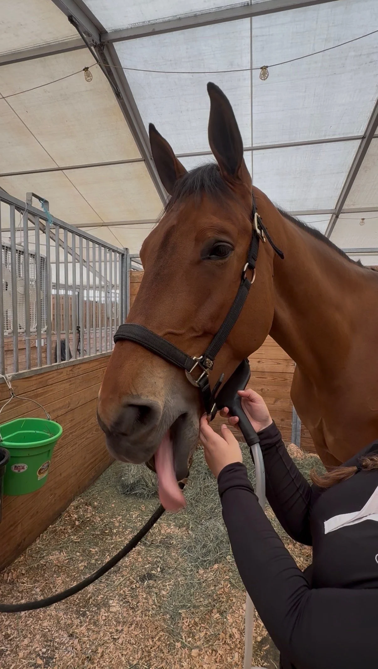 Spot Treatment Session