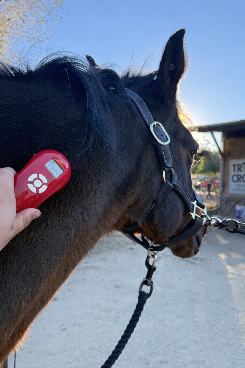 Large Area/Spot Treatment