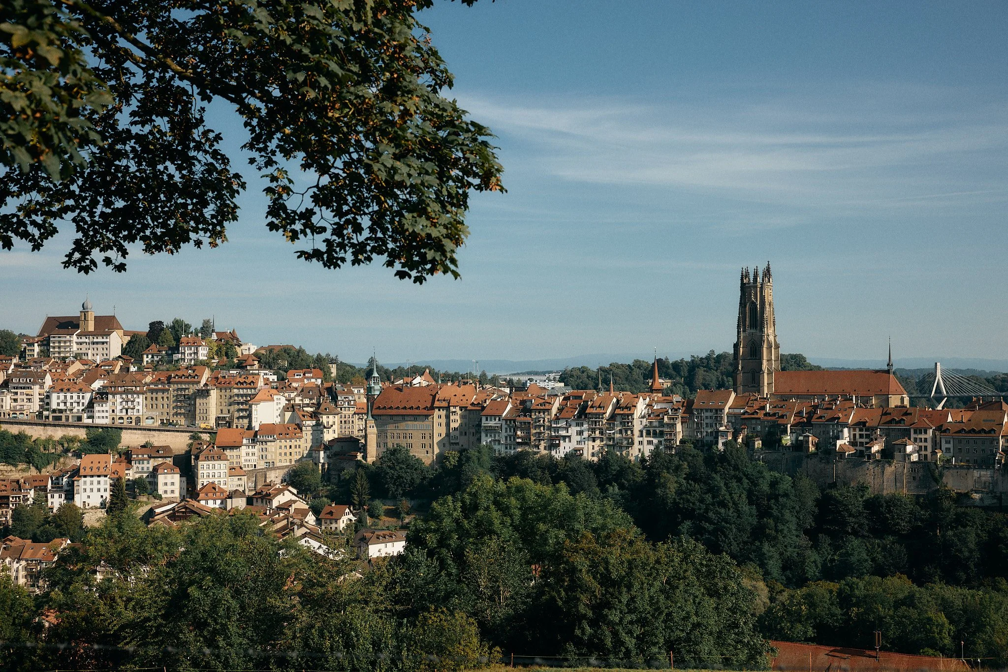 Städte_Fribourg.jpg