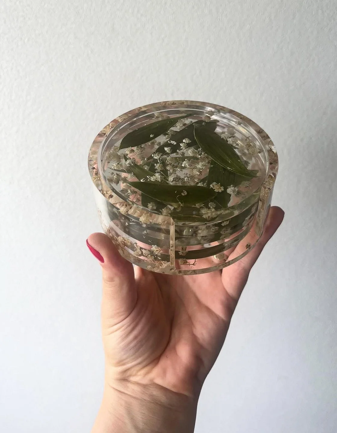 Clear round container filled with water, floating green leaves, and small white flowers, held by a person's hand.
