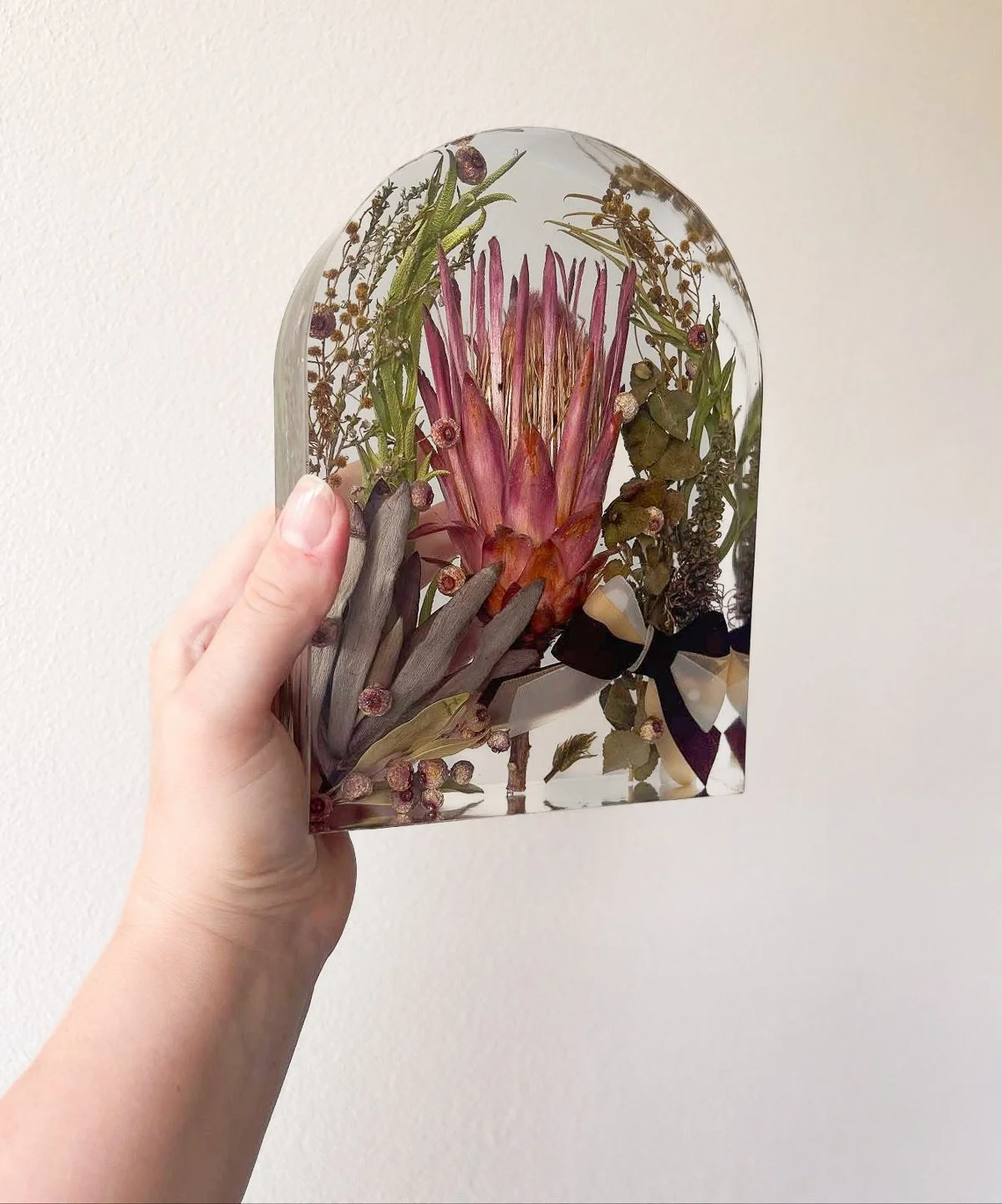 Pressed flowers and plants inside a clear resin block with an arched top, held against a light-colored wall.