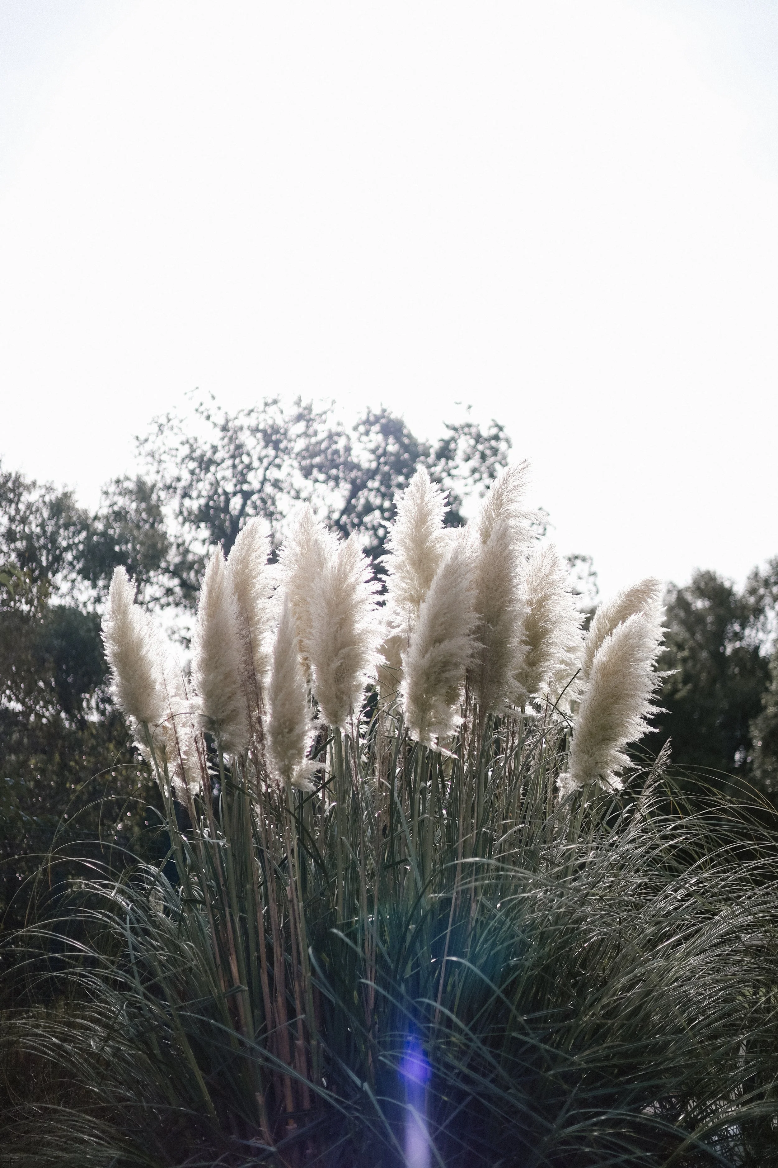 Tournoi de golf, photographe officielle 
