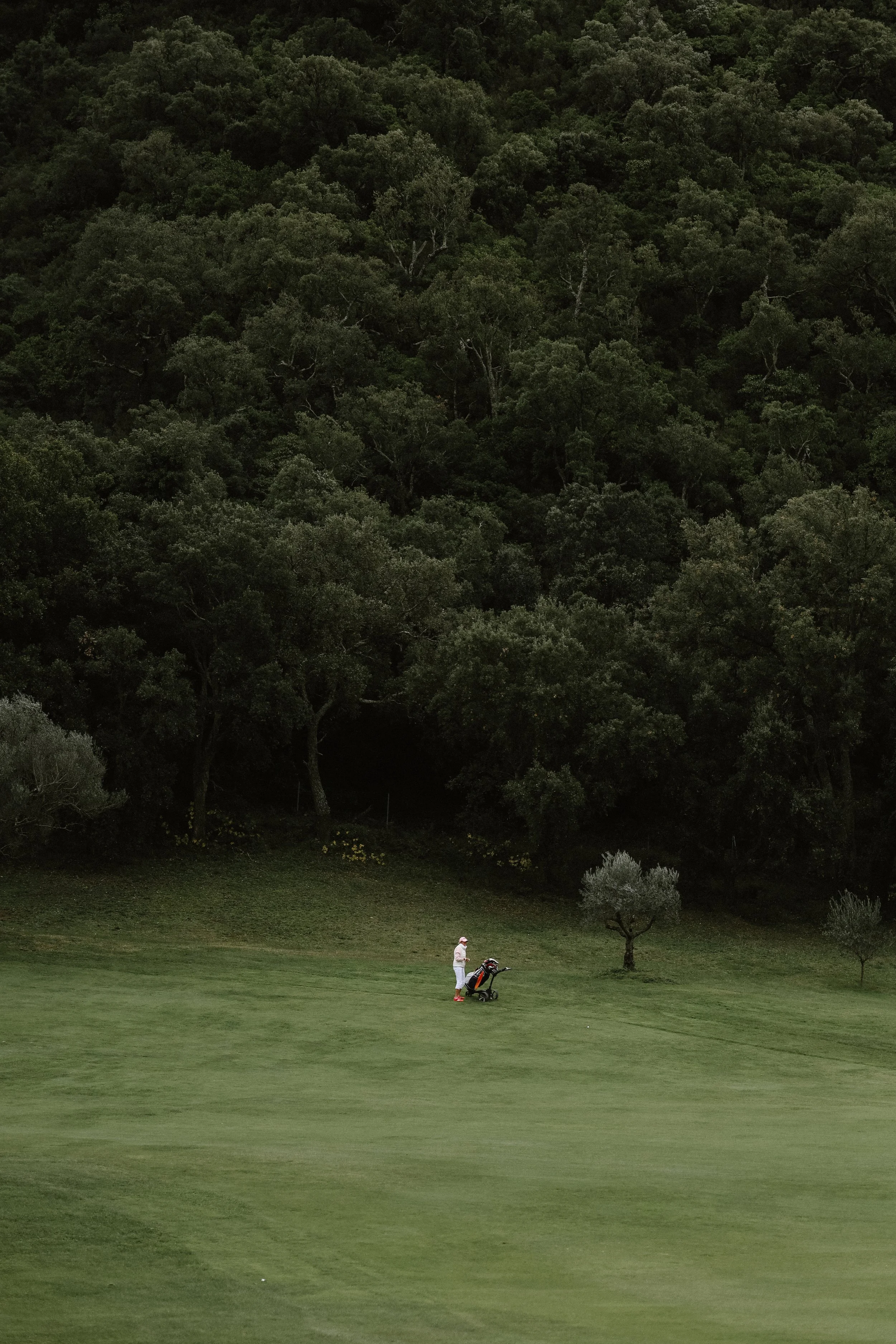 Tournoi de golf, photographe officielle 