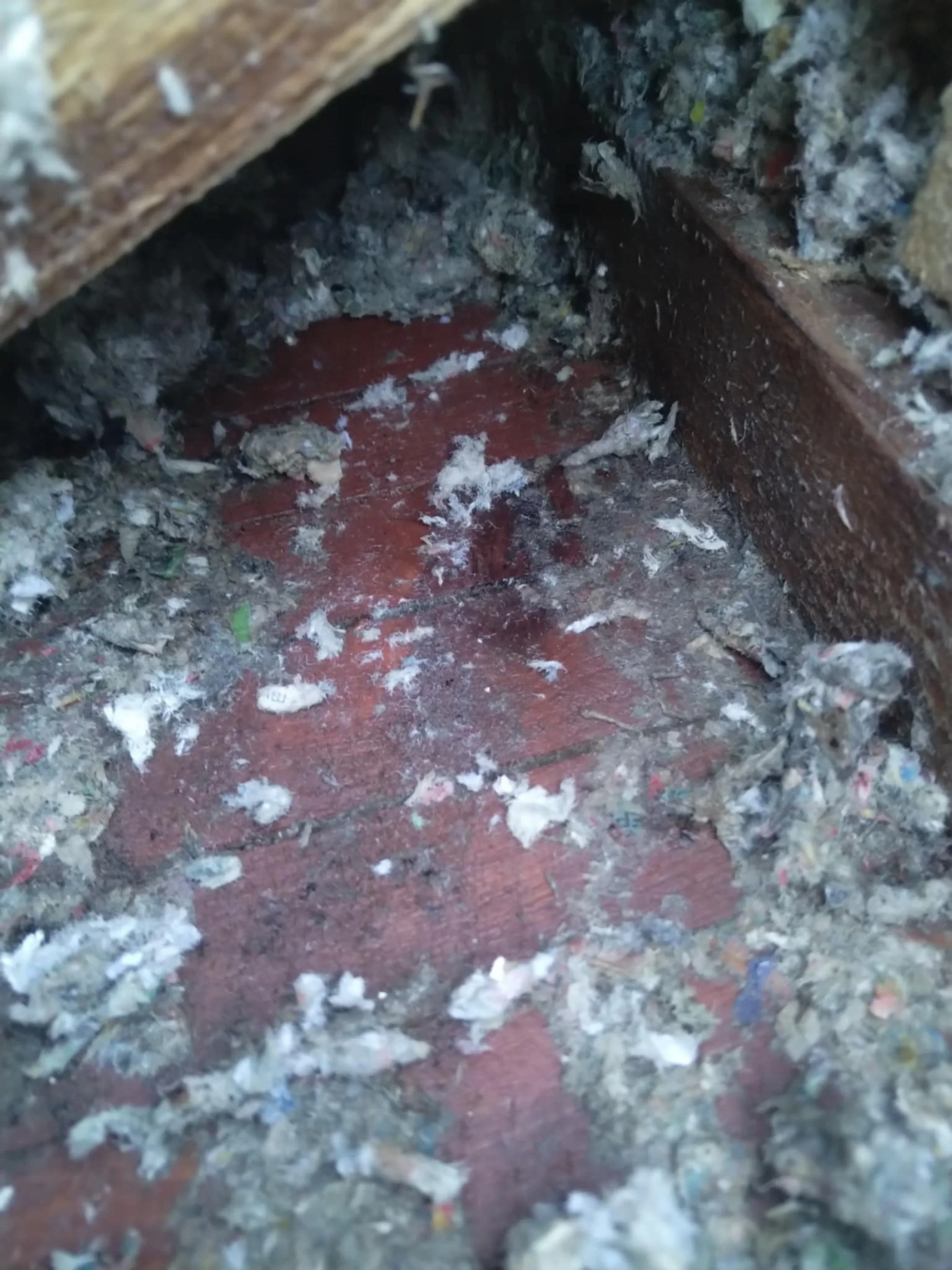 Górna część podbitki - zaczyna się gnicie desek. Dodatkowe koszty. 