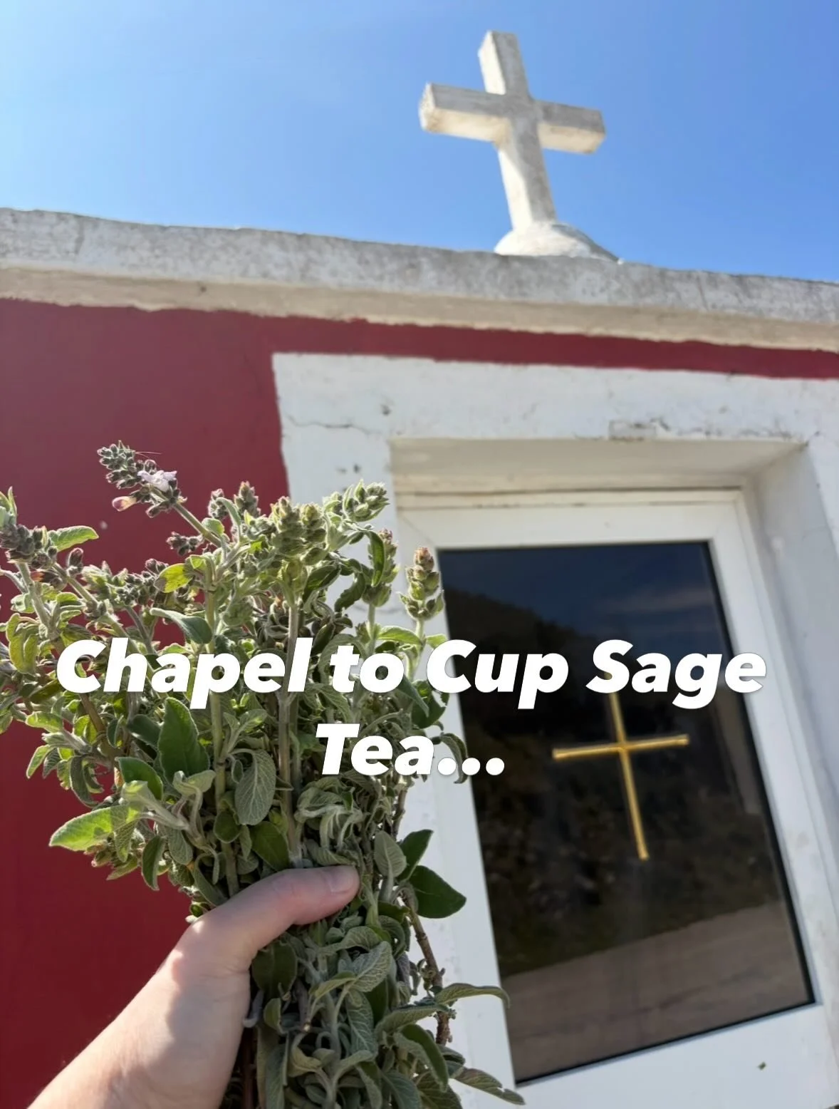 If you were following my stories last week, I was on Corfu for Greek Easter. While everyone else was pot throwing in Corfu Town, Savvas &amp; I were foraging up the mountain.

Amongst other things we picked this wild sage by a roadside Greek Orthodox