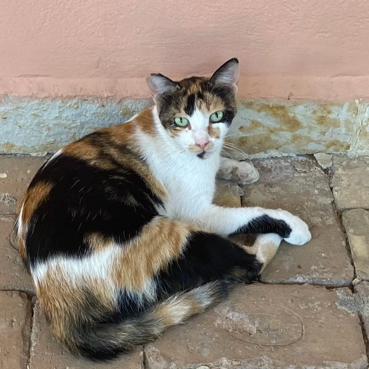 A calico cat with green eyes lying on a stone floor next to a peach-colored wall.