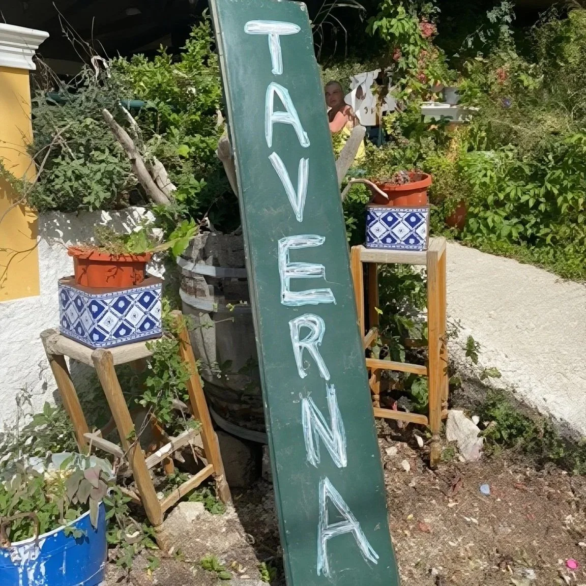 A green chalkboard sign with the word 'TAVERNA' written vertically in large, white letters, placed outdoors among plants, with potted plants on wooden stands and a small garden area in the background.