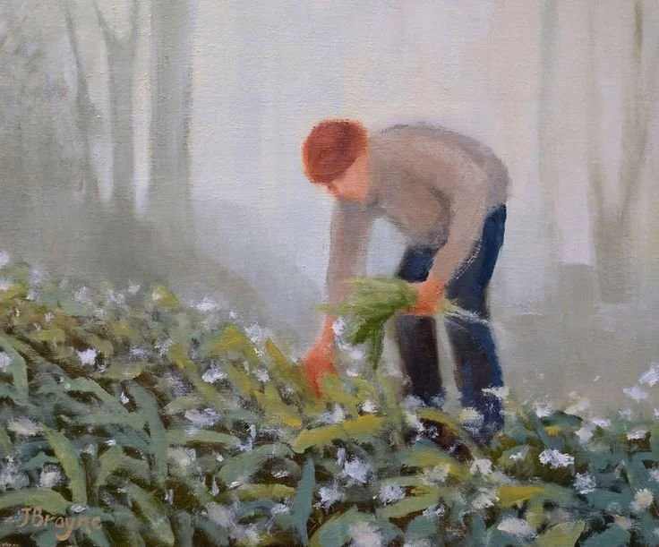 A painting of a person with a red hat, wearing a grey jumper and dark pants, bending down in a green field, foraging wild garlic. The background shows a misty, forested area.
