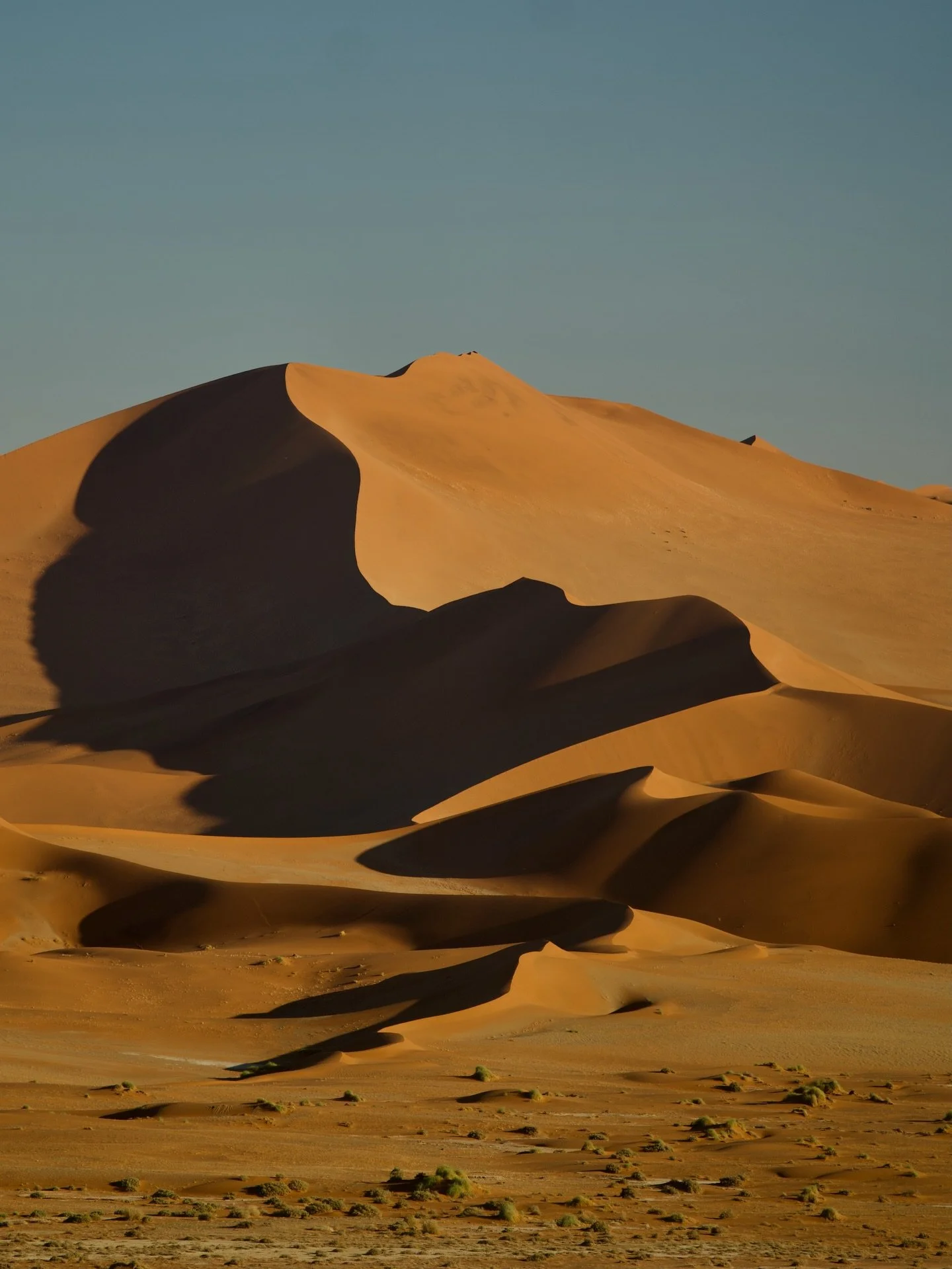 Eens iets anders dan een trouw in beeld brengen! 🦁🦏🐘#namibia #namibiatravel #namibdesert